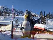 Tip for children  - Bobo's Kinderclub run by the Hochzillertal ski school