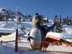 Family ski resorts Snow Card Tirol – Families and children Kaltenbach – Hochzillertal/Hochfügen (SKi-optimal)
