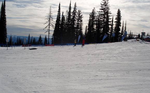 Ski resorts for beginners in the North Okanagan Regional District – Beginners Silver Star