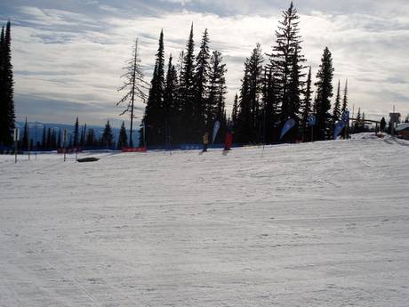 Ski resorts for beginners in the Thompson Okanagan – Beginners Silver Star