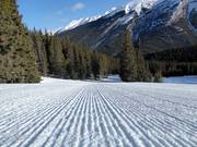 Very well groomed slope on Mt. Norquay