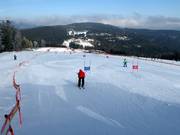 Parallel giant slalom course