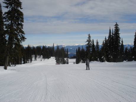 Slope offering Columbia Mountains – Slope offering Silver Star
