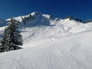 Wonderful powder snow slopes on the Falben