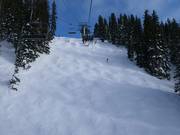 Steep slope at the Snake Creek Express chairlift