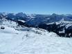 Bregenzerwald: Test reports from ski resorts – Test report Damüls Mellau