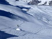 Powder slopes at Alp Surlej