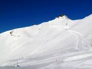 Nebelhorn-Gipfelhang slopes