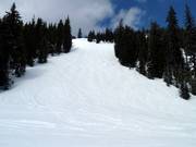 Mogul slope in the Big White ski resort