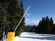 Comprehensive snow-making facilities in Borovets