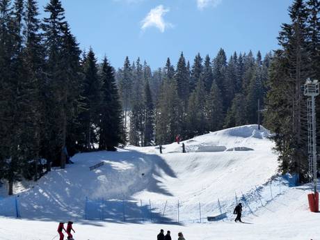 Snow parks Dinaric Alps – Snow park Kopaonik