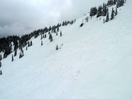 Ski resorts for advanced skiers and freeriding Columbia-Shuswap – Advanced skiers, freeriders Revelstoke Mountain Resort