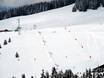 Ski resorts for beginners in Rhône-Alpes – Beginners Espace Diamant – Les Saisies/Notre-Dame-de-Bellecombe/Praz sur Arly/Flumet/Crest-Voland