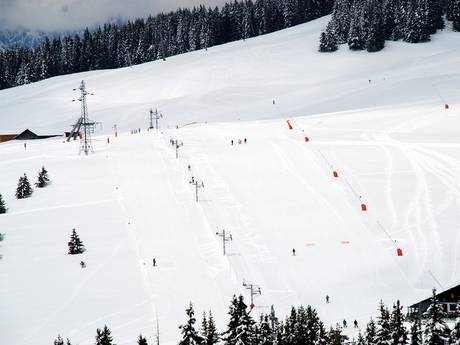 Ski resorts for beginners in the Arrondissement of Albertville – Beginners Espace Diamant – Les Saisies/Notre-Dame-de-Bellecombe/Praz sur Arly/Flumet/Crest-Voland