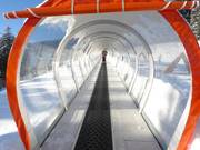 Schmidolins Drachentunnel - People mover/Moving Carpet with cover