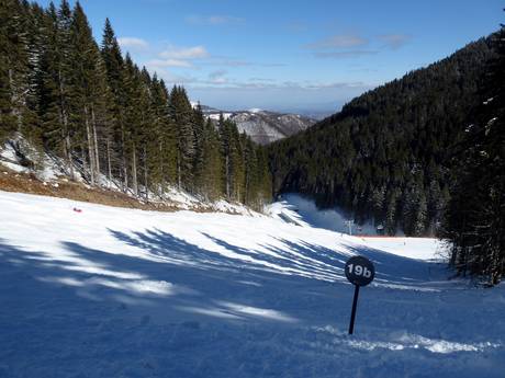 Ski resorts for advanced skiers and freeriding Dinaric Alps – Advanced skiers, freeriders Kopaonik