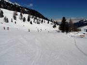 Slow skiing slope in Siviez