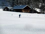 Cross-country skiing in Gosau