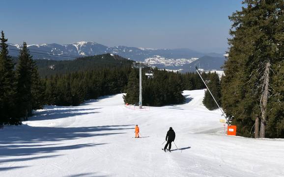 Best ski resort in the Smolyan Province – Test report Pamporovo