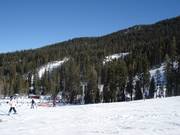 View of the slopes in the ski resort of Sierra at Tahoe