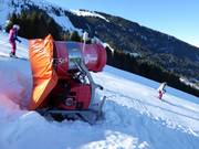 Snow cannon between Furt and Maienberg