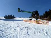 Snow cannons enable extensive snow production