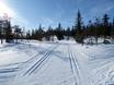 Cross-country skiing Northern Sweden (Norrland) – Cross-country skiing Kläppen