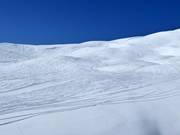 Powder slopes on the Lauberhorn