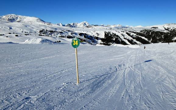 Ski resorts for beginners in the Massive Range – Beginners Banff Sunshine