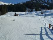 Beginner slope at the Schwand lift (Riezlern)