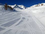 Perfect slope preparation at the Tonale Occidentale slope