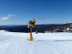 Snow reliability Australian Alps – Snow reliability Mount Hotham