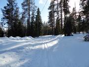 Cross-country trails in Ylläs