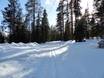 Cross-country skiing Northern Finland – Cross-country skiing Ylläs