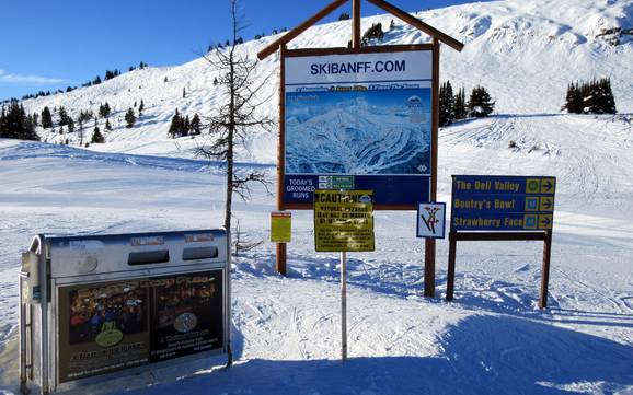 Massive Range: orientation within ski resorts – Orientation Banff Sunshine