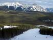 Alberta's Rockies: environmental friendliness of the ski resorts – Environmental friendliness Nakiska