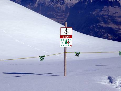 Jungfrau Region: environmental friendliness of the ski resorts – Environmental friendliness Kleine Scheidegg/Männlichen – Grindelwald/Wengen