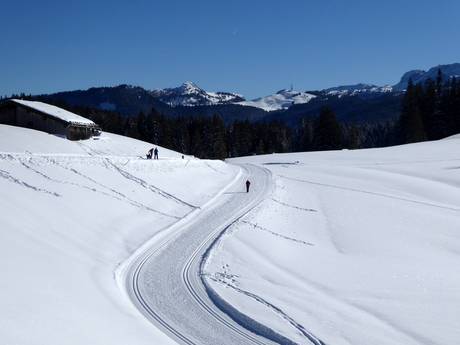 Cross-country skiing Kitzbüheler Alpen – Cross-country skiing Steinplatte-Winklmoosalm – Waidring/Reit im Winkl