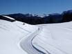 Cross-country skiing Tyrol (Tirol) – Cross-country skiing Steinplatte-Winklmoosalm – Waidring/Reit im Winkl