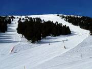 The slopes on the Pala di Santa