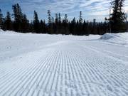 Perfectly groomed slope in Trysil