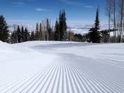 Very good slope preparation in Park City