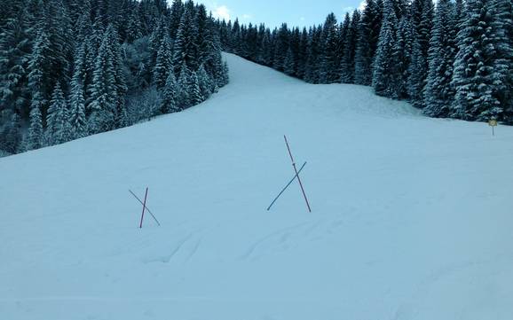 Ammergau Alps: environmental friendliness of the ski resorts – Environmental friendliness Kolbensattel – Oberammergau