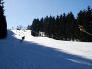 Good incline: slope on the Poppenberg