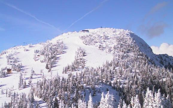 Best ski resort on Vancouver Island – Test report Mount Washington