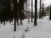 Skiing through the forest is also possible