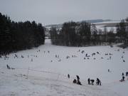 View of the toboggan run from the slope