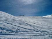 Federia powder snow slope