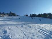 Ski slope on the Mehliskopf