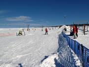 Easy slope in the Novako ski area